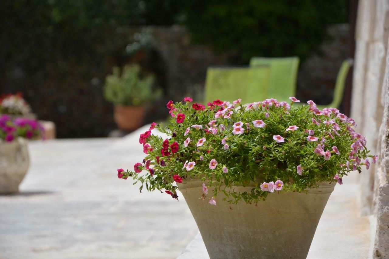 La Corticella Bed & Breakfast Bed & Breakfast Martina Franca Exterior photo